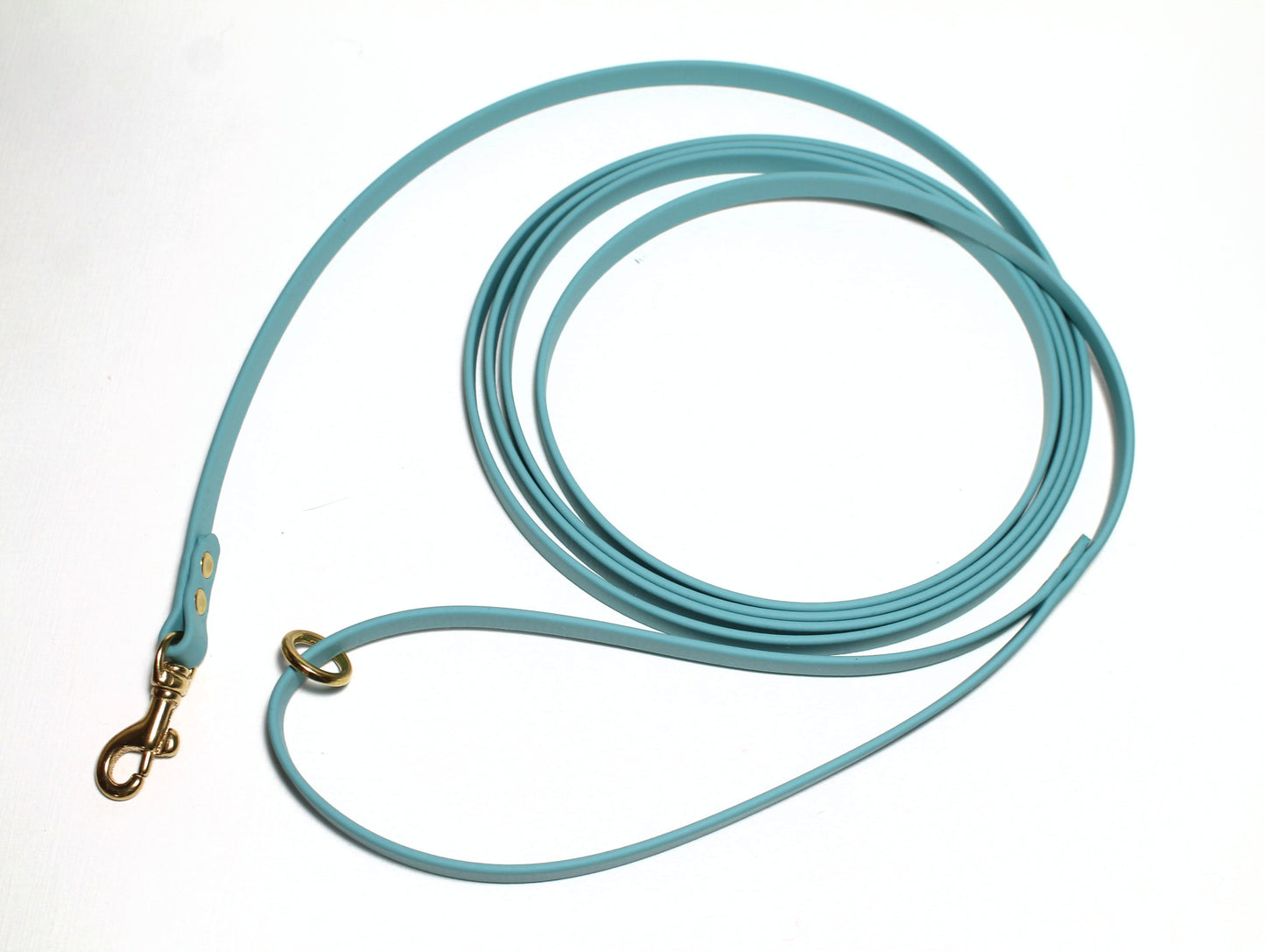 Lighter Weight Waterproof Tracking Recall Long Line - leash for smaller dog or cats - 3/8" (9mm) Biothane