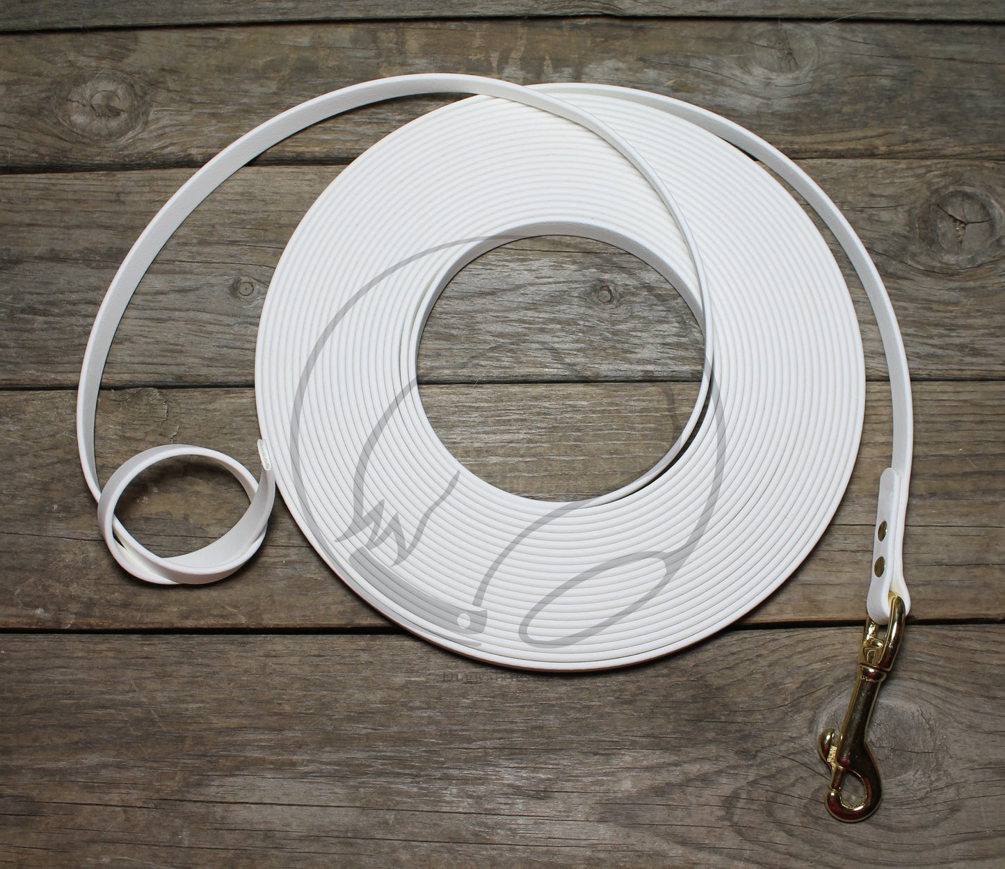 Lighter Weight Waterproof Tracking Recall Long Line - leash for smaller dog or cats - 3/8" (9mm) Biothane