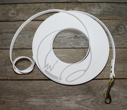 Lighter Weight Waterproof Tracking Recall Long Line - leash for smaller dog or cats - 3/8" (9mm) Biothane