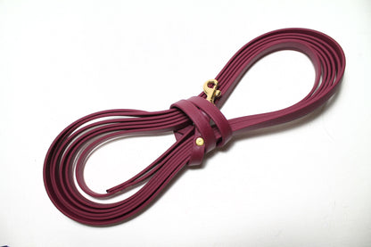 Lighter Weight Waterproof Tracking Recall Long Line - leash for smaller dog or cats - 3/8" (9mm) Biothane