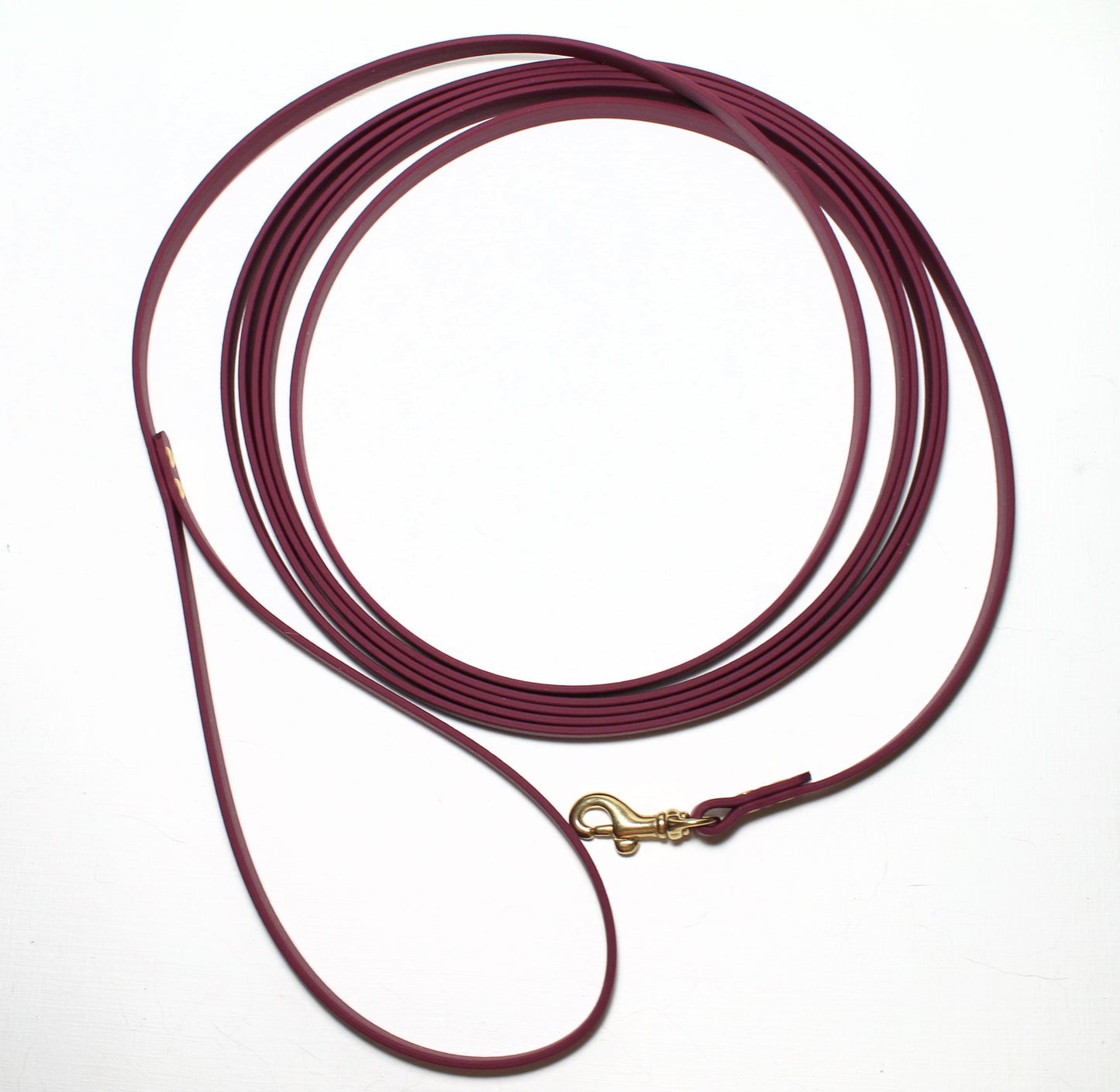 Lighter Weight Waterproof Tracking Recall Long Line - leash for smaller dog or cats - 3/8" (9mm) Biothane