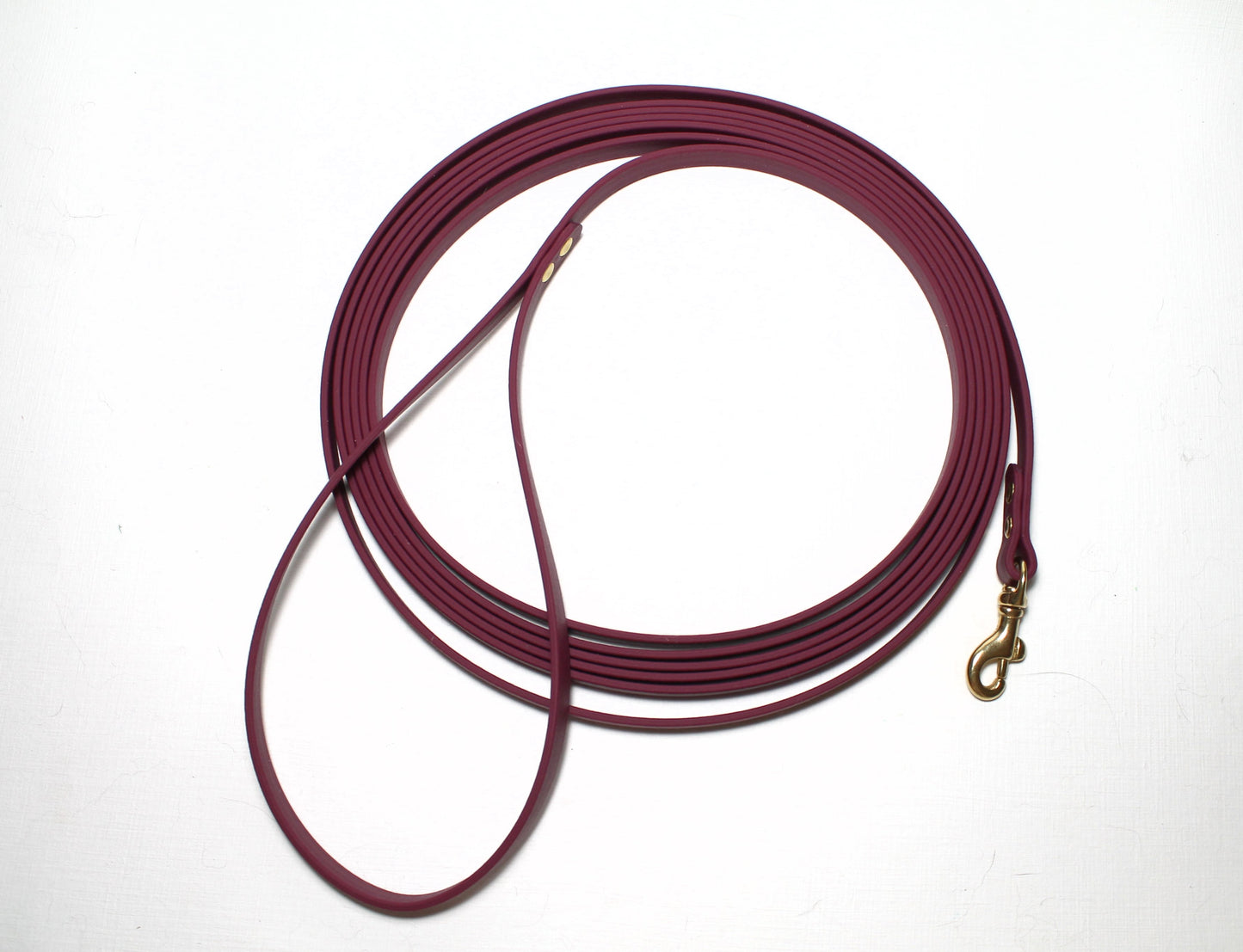 Lighter Weight Waterproof leashes - leash for cats - tracking recall long line - 3/8" (9mm) Biothane