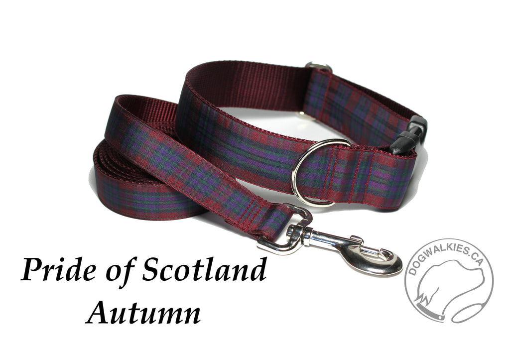 Tartan Dog Leash - Pride of Scotland Autumn Tartan