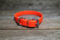 Neon Blaze Orange Biothane Dog Collar - 3/4" (20mm) wide