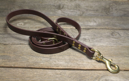 Two Handle Biothane Large 3/4"(20mm) wide Dog Leash - Leash with Traffic Handle - 37 Colours