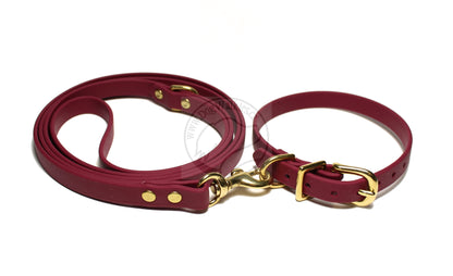 Wine Merlot Biothane Small Dog Collar - 1/2" (12mm) wide