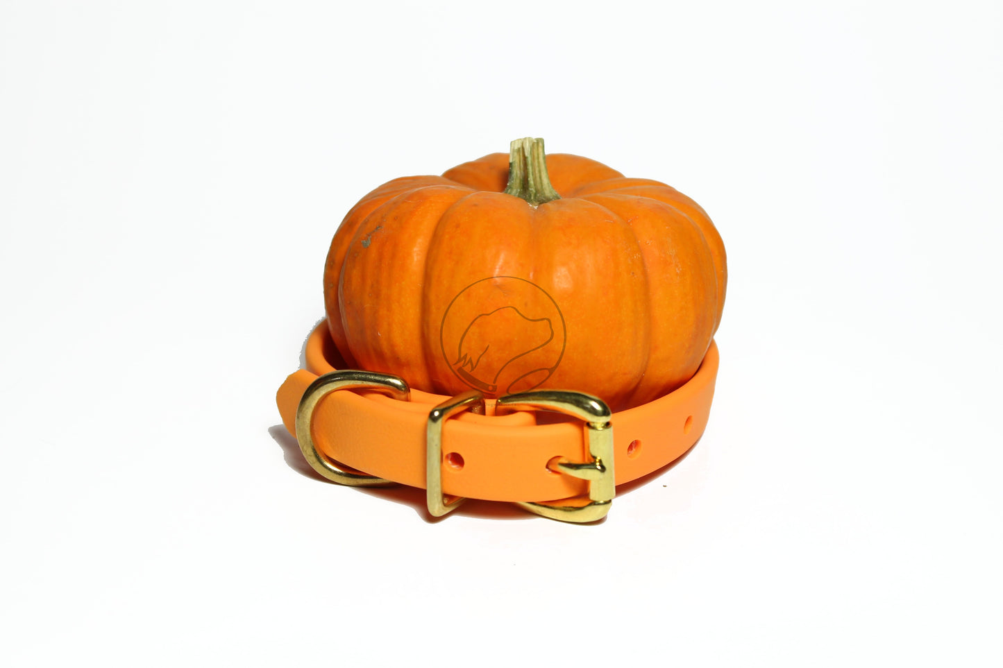 Bright Pumpkim Orange Biothane Dog Collar - 5/8"(16mm) wide
