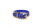 Royal Blue Biothane Dog Collar - 5/8"(16mm) wide
