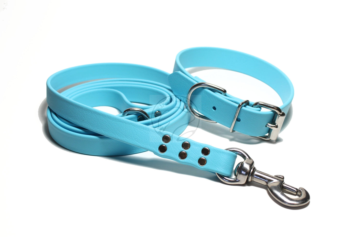 Frozen Blue Biothane Large Dog Leash