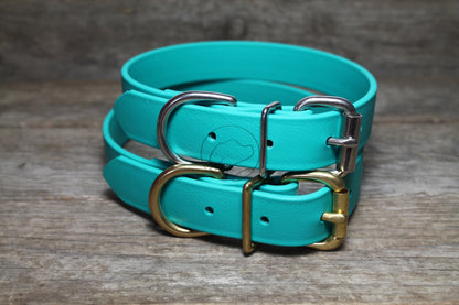 Teal Biothane Dog Collar - 1 inch (25mm) wide