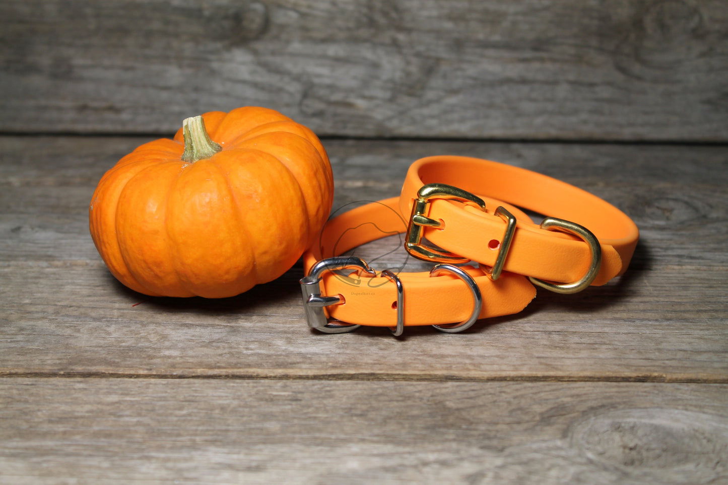 Bright Pumpkim Orange Biothane Dog Collar - 5/8"(16mm) wide