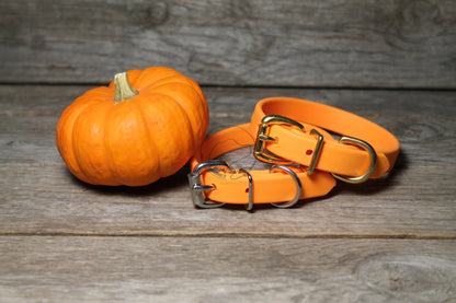 Bright Pumpkim Orange Biothane Dog Collar - 5/8"(16mm) wide