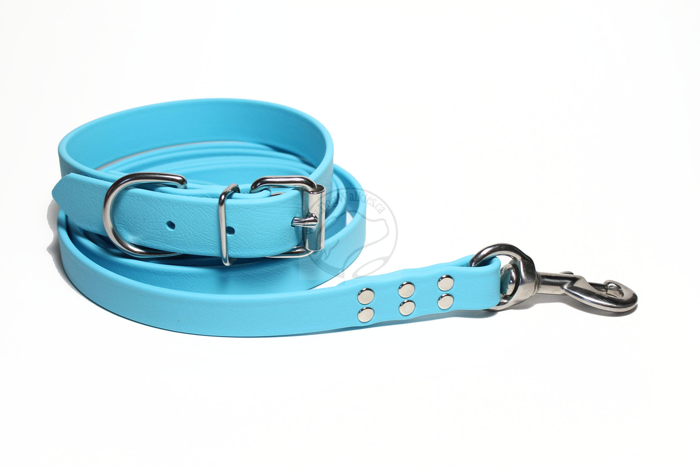 Frozen Blue Biothane Large Dog Leash