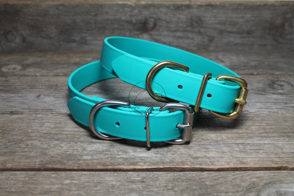 Teal Biothane Dog Collar - 1 inch (25mm) wide