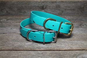 Teal Biothane Dog Collar - 1 inch (25mm) wide