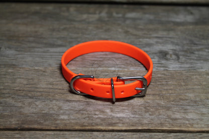 Neon Blaze Orange Biothane Small Dog Collar - 1/2" (12mm) wide