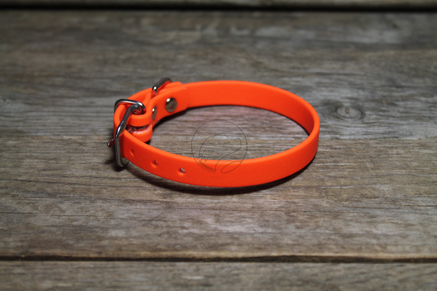Neon Blaze Orange Biothane Small Dog Collar - 1/2" (12mm) wide