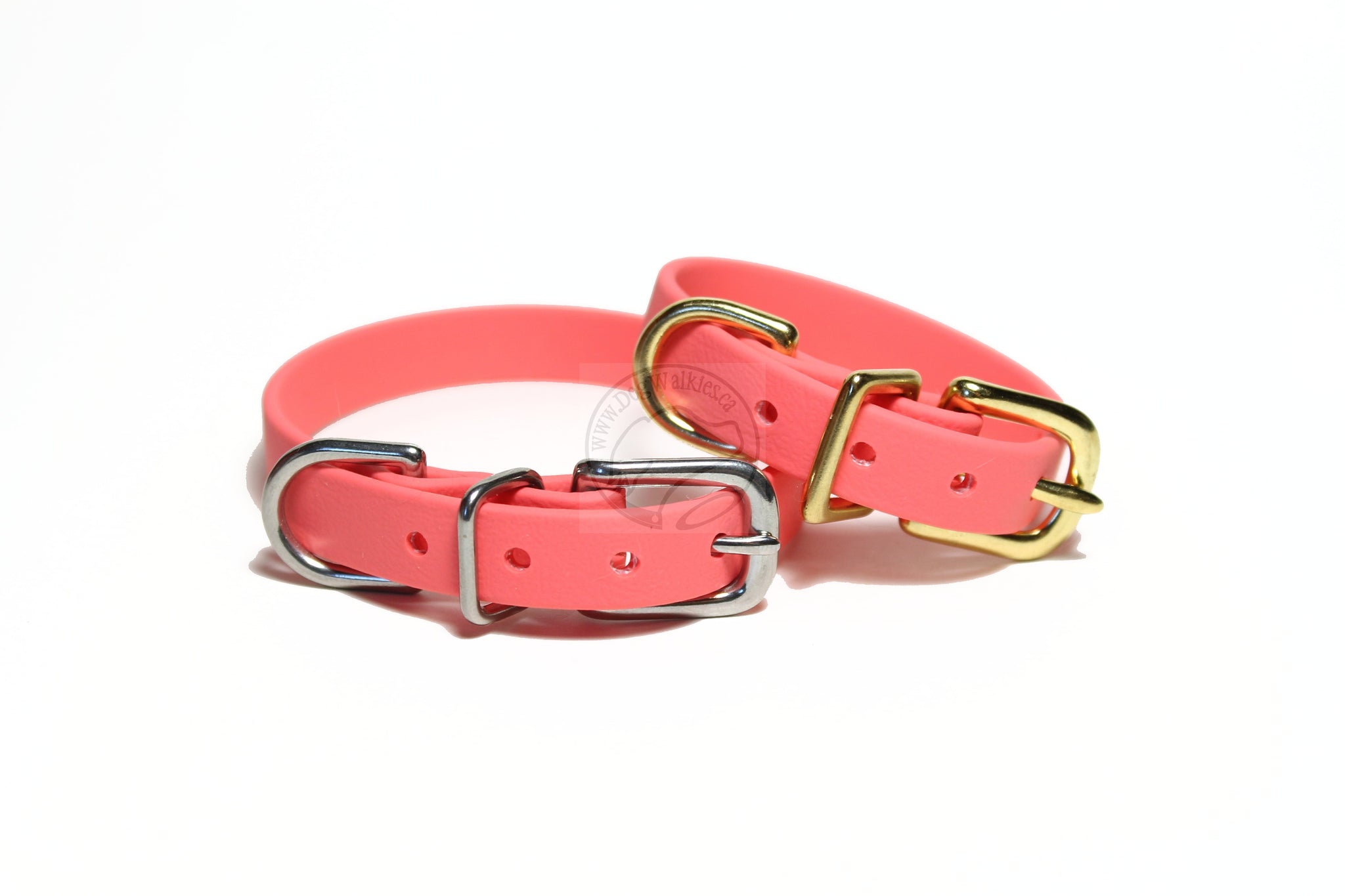 Coral on sale dog collar