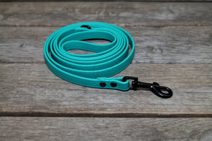 Matte Black Hardware Biothane Dog Leashes - 35 colours - all lengths & widths