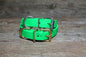 Medium Dog Collar in Genuine Biothane - 20mm (3/4") width - 40 colours