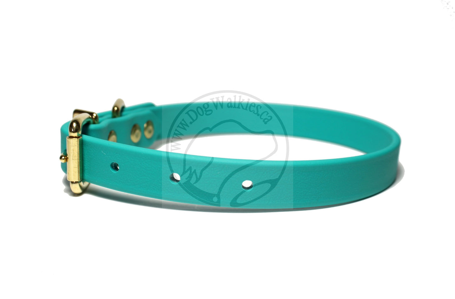 Teal Biothane Dog Collar - 3/4" (20mm) wide