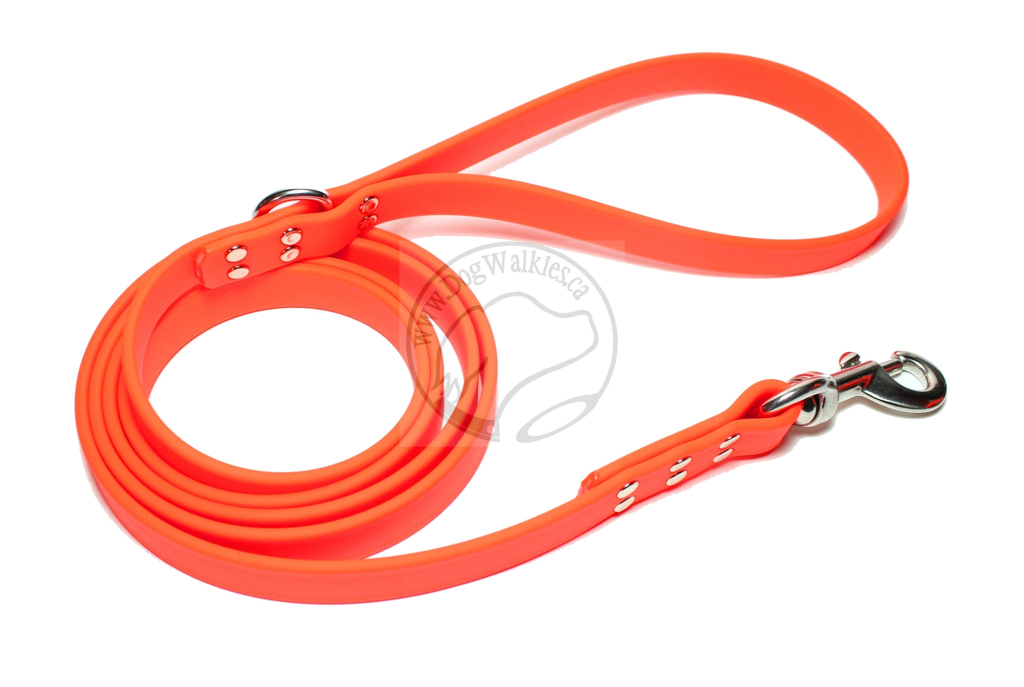 Neon Blaze Orange Biothane Large Dog Leash – Dog Walkies.ca