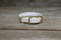 Little Pet or Dog Collar in Genuine Biothane - 12mm (1/2") width - 40 colours