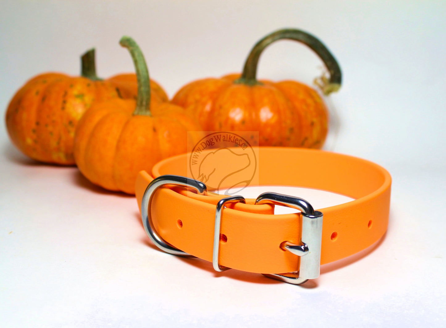 Bright Pumpkin Orange Biothane Dog Collar - 1 inch (25mm) wide
