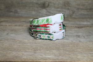 Winter Collar in Stripes or Argyle- nylon dog collar