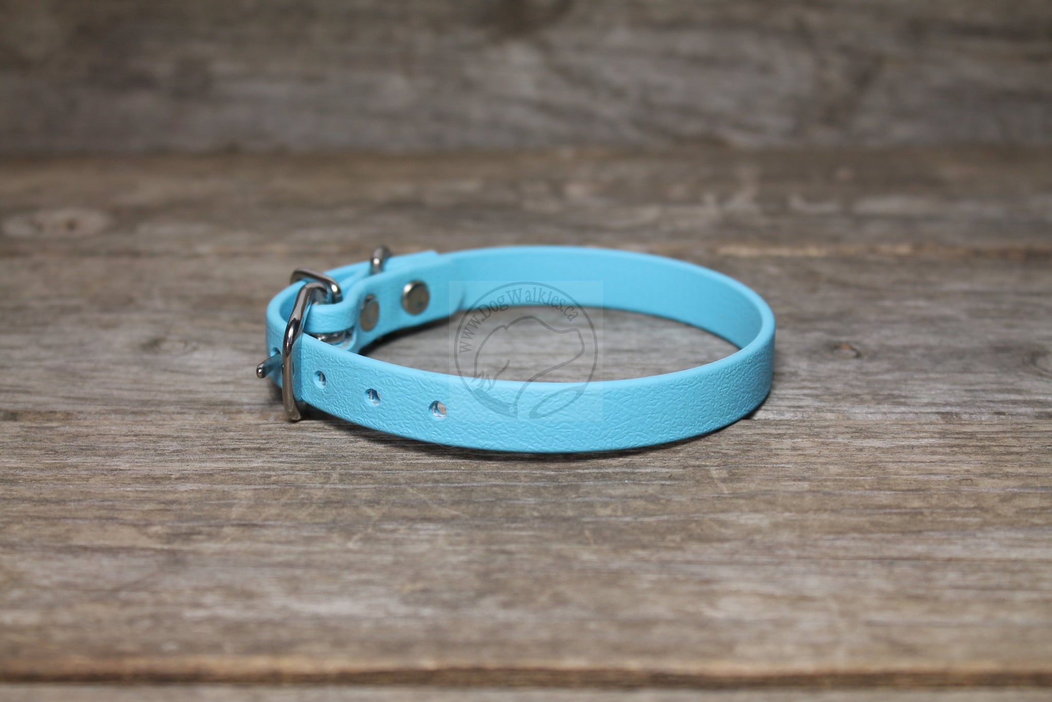 Frozen Blue Biothane Small Dog Collar - 1/2" (12mm) wide
