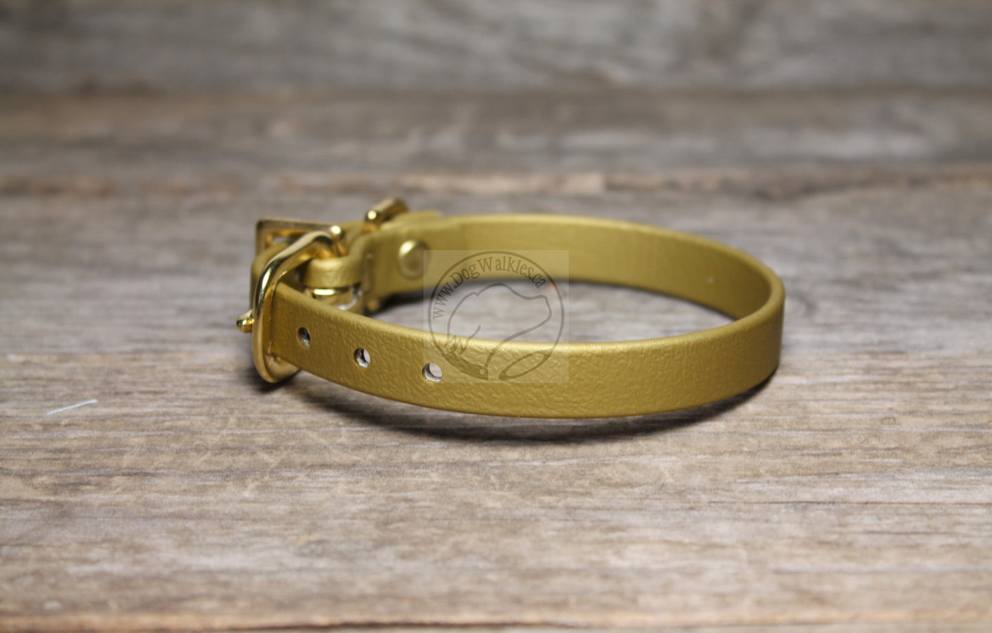 Gold Biothane Small Dog Collar - 1/2" (12mm) wide
