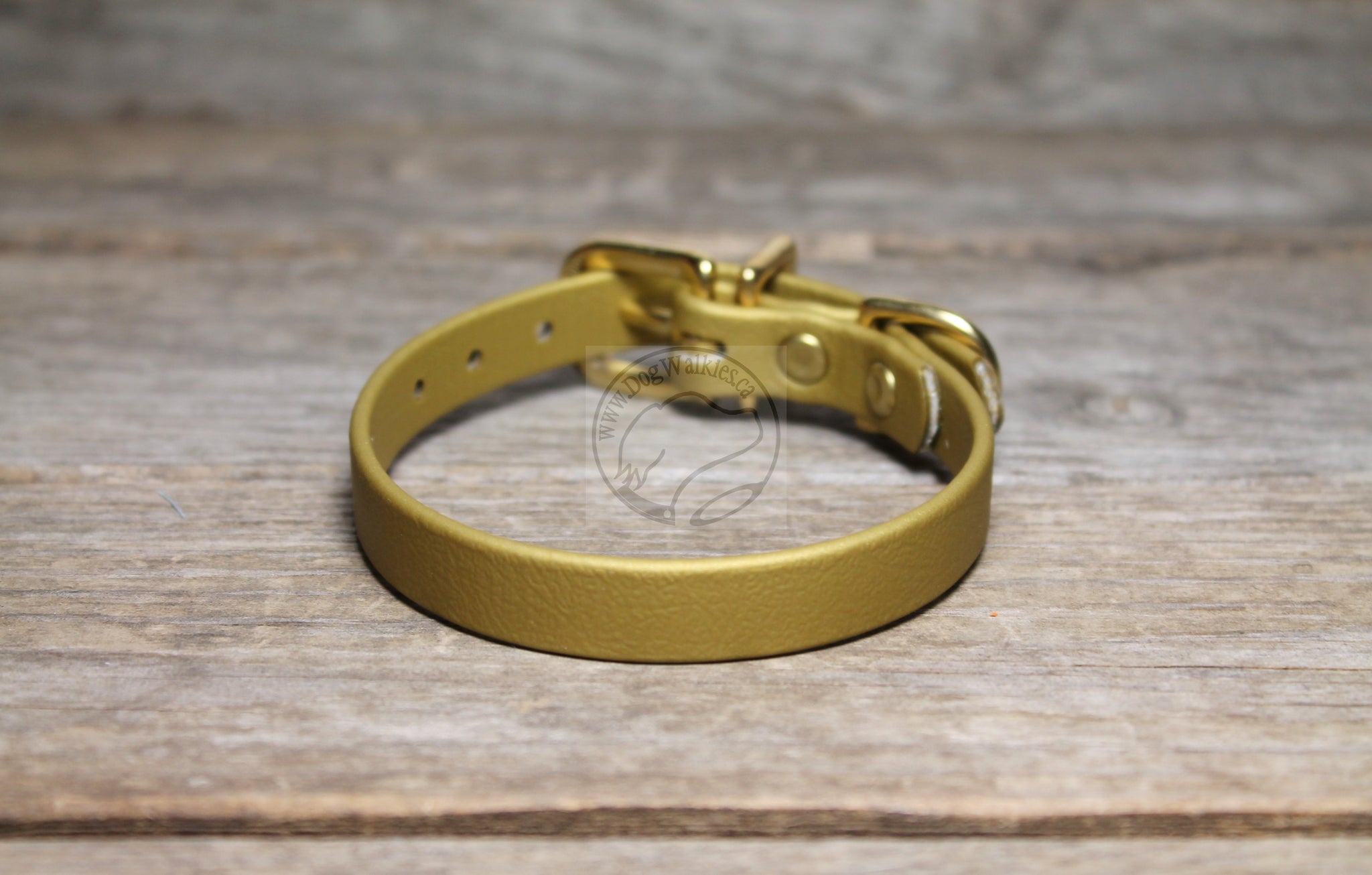 Gold Biothane Small Dog Collar - 1/2" (12mm) wide