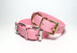 Large Dog Collar in Genuine Biothane - 25mm (1") width - 39 colours