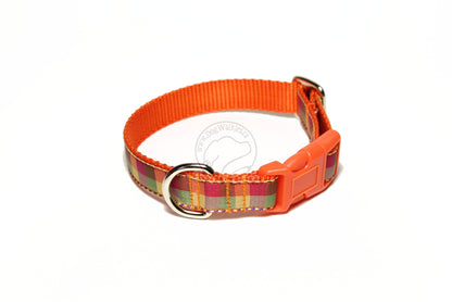 Fall Plaid - tartan dog collar