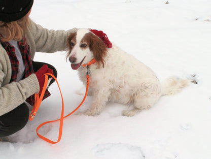 Bright Pumpkin Orange Biothane Dog Collar - 1 inch (25mm) wide
