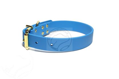 Caribbean Blue Biothane Dog Collar - 1 inch (25mm) wide