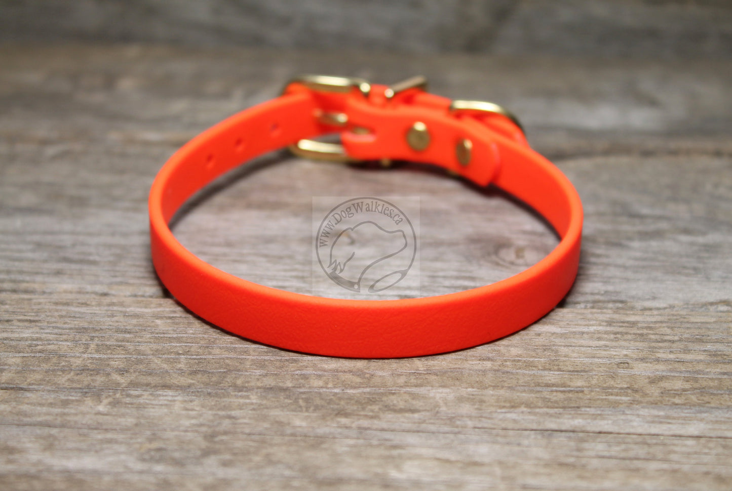 Neon Blaze Orange Biothane Small Dog Collar - 1/2" (12mm) wide