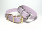 Large Dog Collar in Genuine Biothane - 25mm (1") width - 39 colours