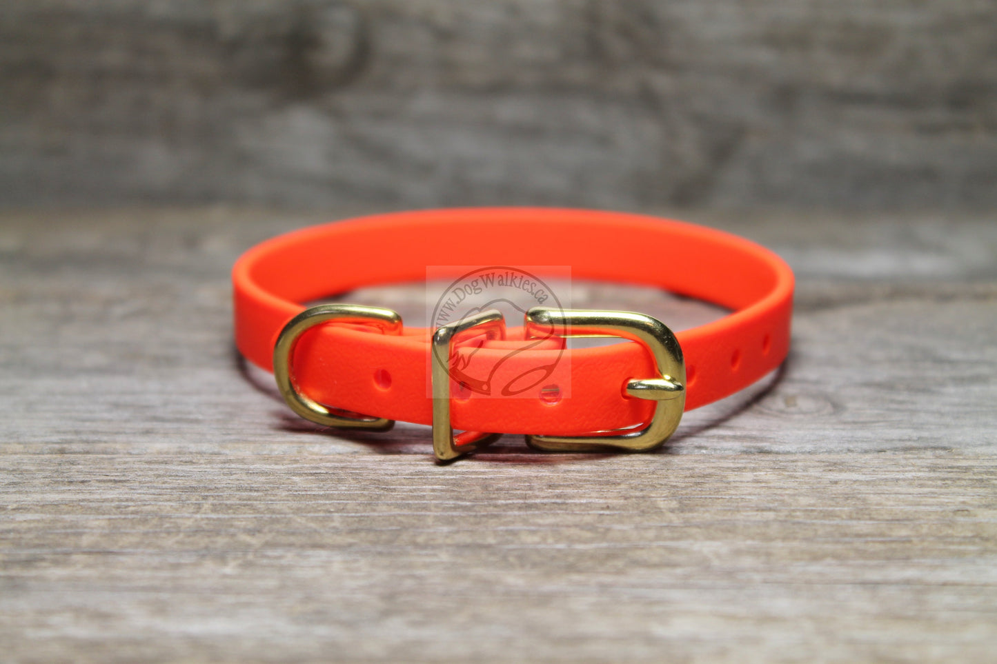 Neon Blaze Orange Biothane Small Dog Collar - 1/2" (12mm) wide