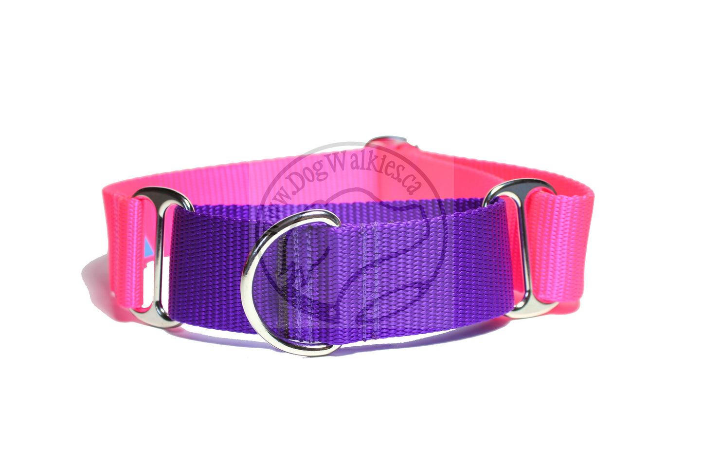 Wide Martingale Dog Collar 1.5" (38mm); Simple - Elegant - Strong