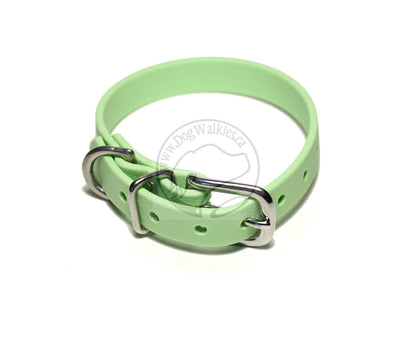 Discontinued- Limited Pastel Mint Green Biothane Small Dog Collar - 1/2" (12mm) wide