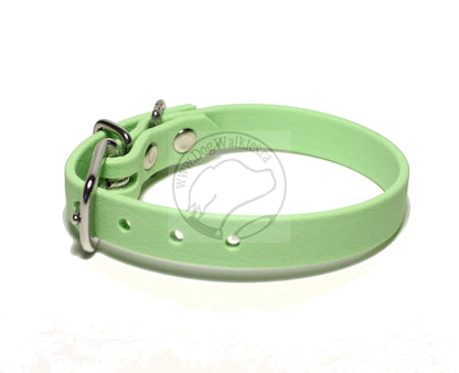 Discontinued- Limited Pastel Mint Green Biothane Small Dog Collar - 1/2" (12mm) wide