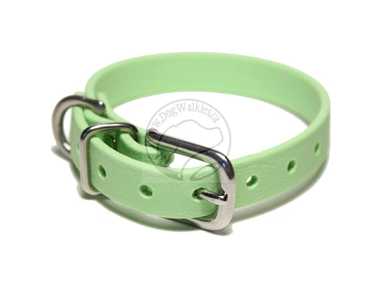 Discontinued- Limited Pastel Mint Green Biothane Small Dog Collar - 1/2" (12mm) wide