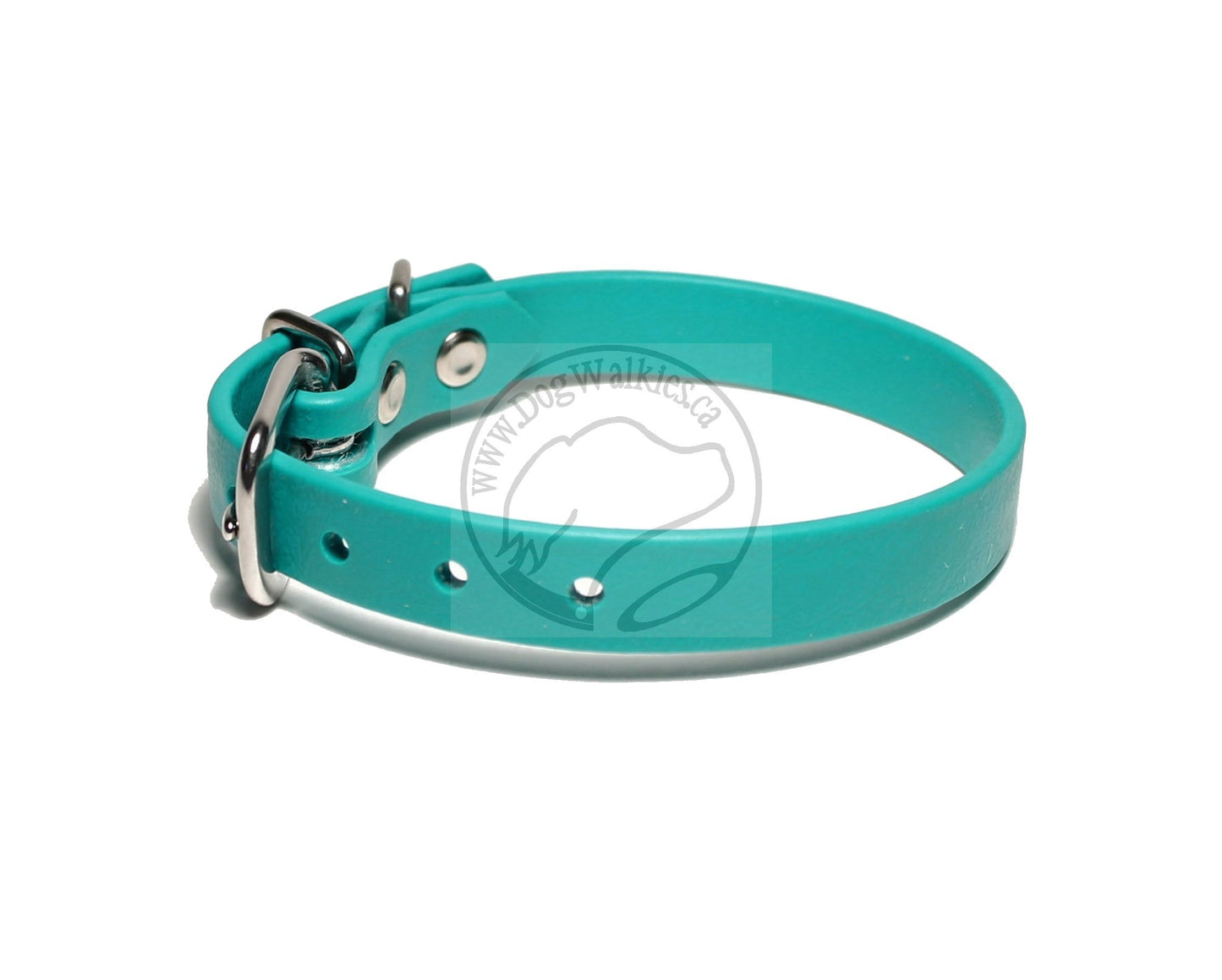 Teal Biothane Small Dog Collar - 1/2" (12mm) wide
