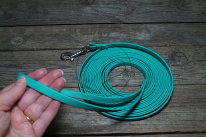 Lighter Weight Waterproof Tracking Recall Long Line - leash for smaller dog or cats - 3/8" (9mm) Biothane