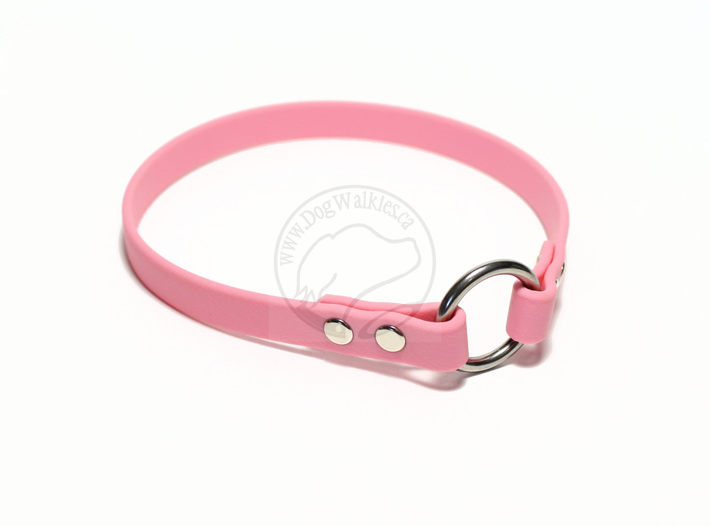 Simple Tag Dog Collar in Genuine Biothane - 12mm (1/2") width - O Ring Collar