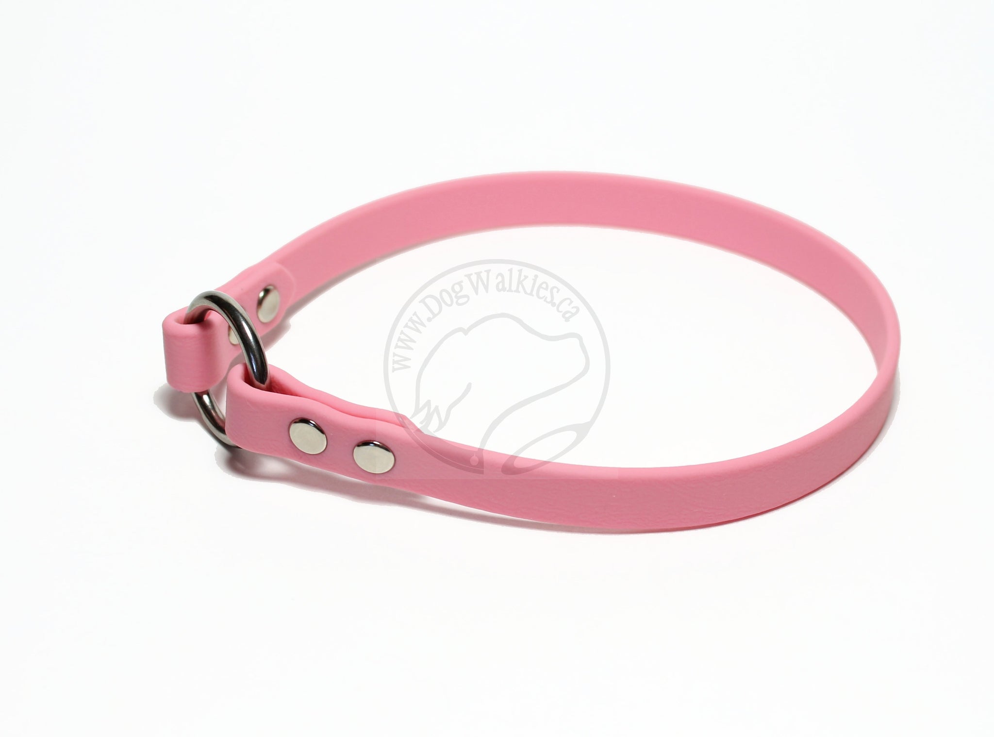 Simple Tag Dog Collar in Genuine Biothane - 12mm (1/2") width - O Ring Collar