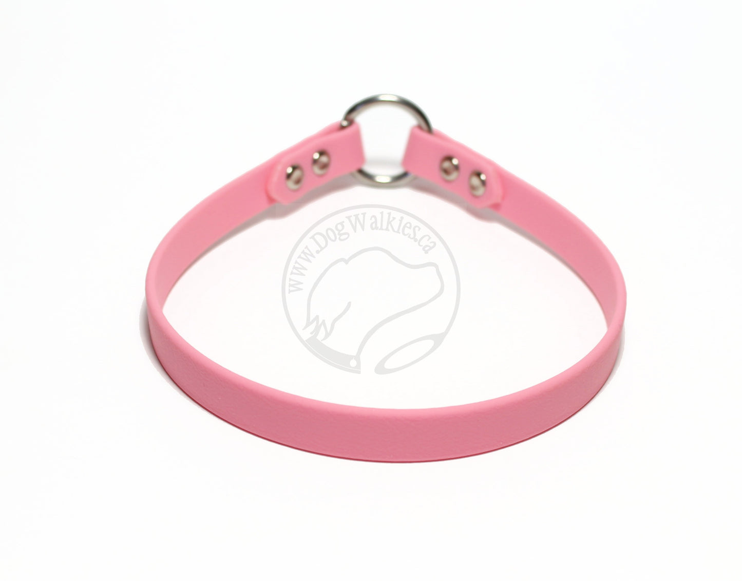 Simple Tag Dog Collar in Genuine Biothane - 12mm (1/2") width - O Ring Collar