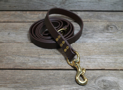Dark Chocolate Brown Biothane Large Dog Leash