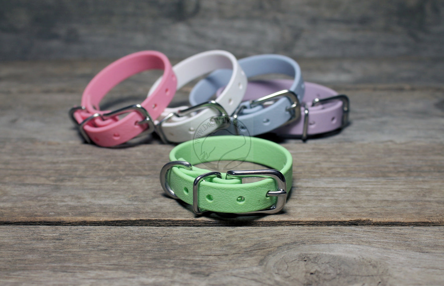 Discontinued- Limited Pastel Mint Green Biothane Small Dog Collar - 1/2" (12mm) wide